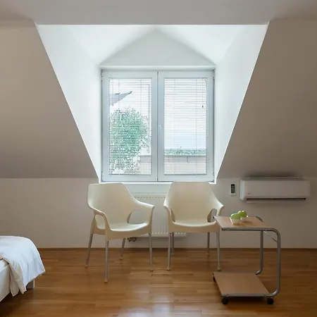 Apartment Penthouse Festina Lente Sombor