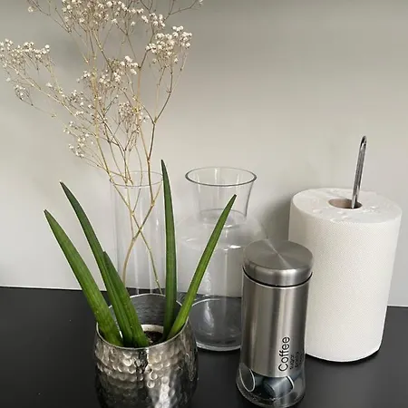 Apartment Penthouse Festina Lente Sombor